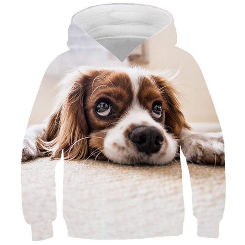 Autumn 3D Animal Pattern Printed Hoodies Fashionable Casual Sports Long Sleeved Children's Boy Hooded Sweatshirts