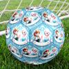 Elsa Theme Size 5 Soccer Ball, Suitable for Both Indoor and Outdoor Matches, a Gift Suitable for Everyone.