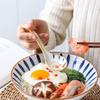 ZISIZ Japanese Ceramic Long Handle Blue Line Soup Spoon