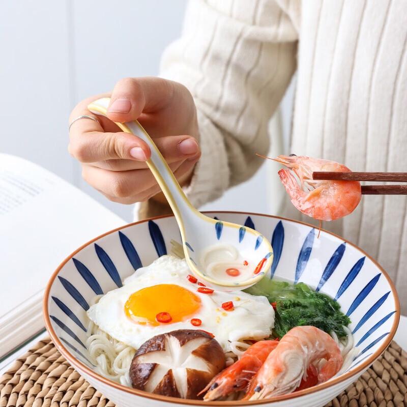 ZISIZ Japanese Ceramic Long Handle Blue Line Soup Spoon