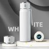 550ML Stainless Steel Vacuum Flasks Temperature Display Straight Cup Outdoor Travel Insulated Thermos Portable Hot Water Bottle