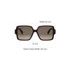 Celine Square Acetate Sunglasses Women sunglasses Brown CL40316U