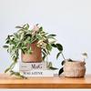 Creative Retro Rattan-Style Cement Flower Pot, Straw-Woven Hanging Basket with Handle for Plants and Flowers