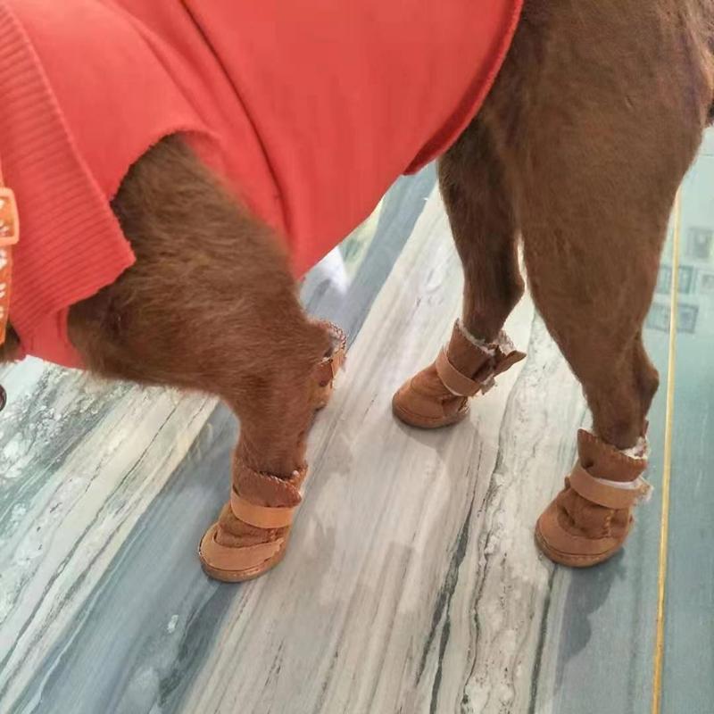 Pet Dog Shoes 4pcs Thick Warm Rain Snow Carton Boots Prewalkers Walking Puppy Sneakers Dog Accessories