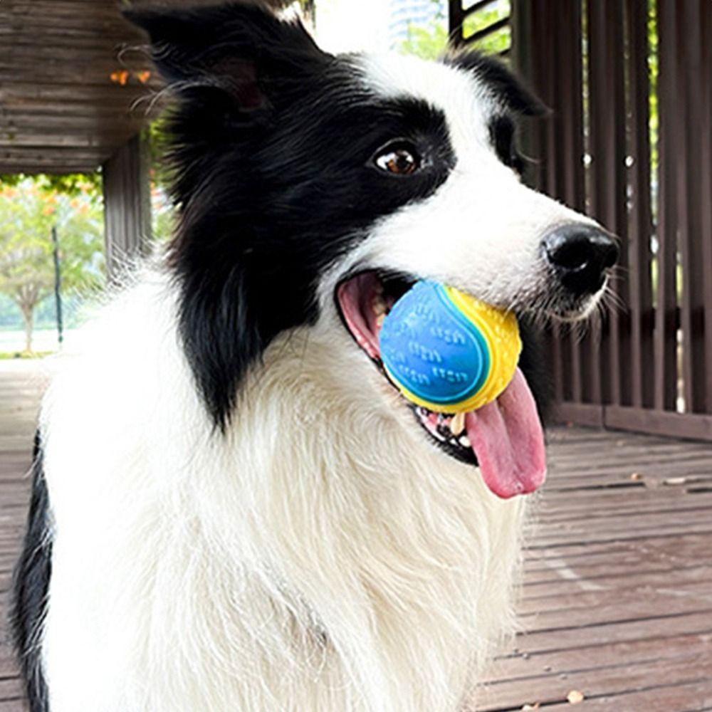 Fun Interactive Squeaky Dog Ball Elastic Tooth Cleaning Pet Companion Cute Durable Dog Supplies