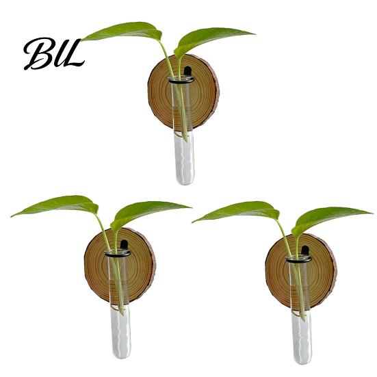 Glass Tube Planter 3 Pcs Wall-Mounted Plant Terrarium Propagation Station Clear Cylinder Hanging Test Hands-free Planting Indoor Decorative 3pcs