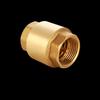 Zhucang Brass Check Valve
