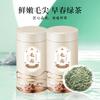 Authentic Xinyang Origin Mingqian Tender Bud Maojian Green Tea, New Tea, Self Drinking, Canned Gift 500g