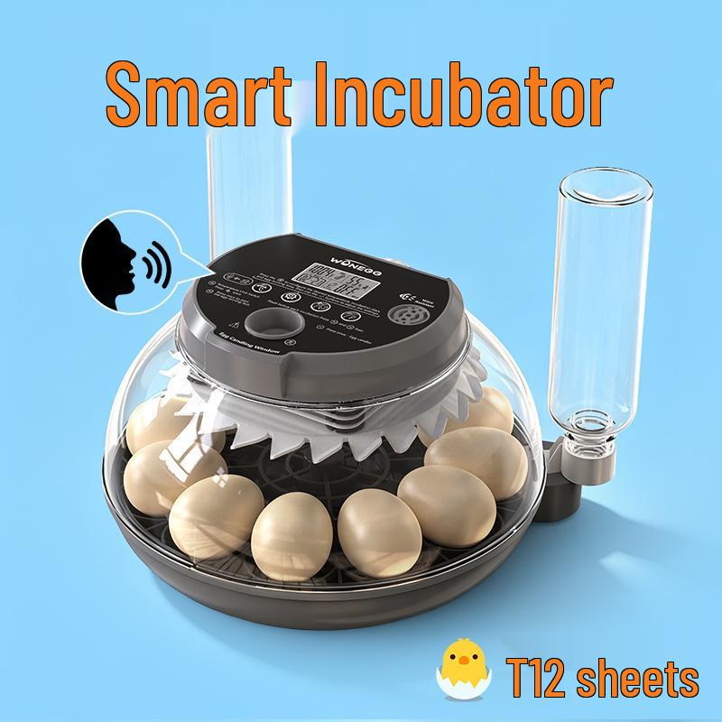 Smart Mini Egg Incubator for Parrots and Budgies: Automatic Pet Hatchery Equipment