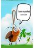 Adorable Insect Plush Keychain - Cartoon Doll & Backpack Charm