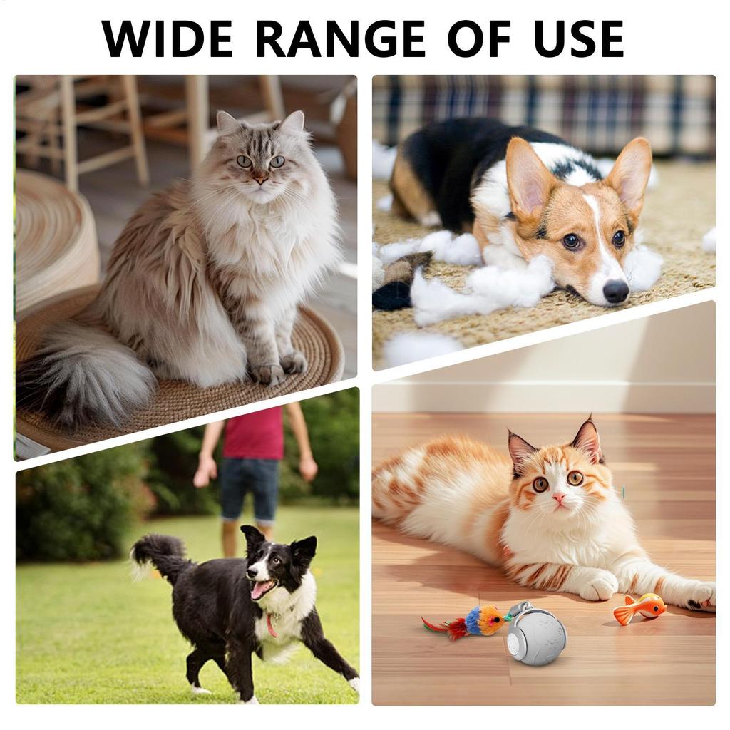 Cat Rolling Ball Toy 3 Modes Electric Scratcher With Tail Self-Entertainment Automatic Cat Toy For Teeth Grinding Self