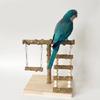 Multifunctional Parrots Stand Grinding Scratchers Toy for Conure Budgies