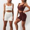 Europäisch-Amerikanisches Nahtloses Schnelltrocknendes Yoga-Westen- & High-Waist-Shorts-Set für Damen