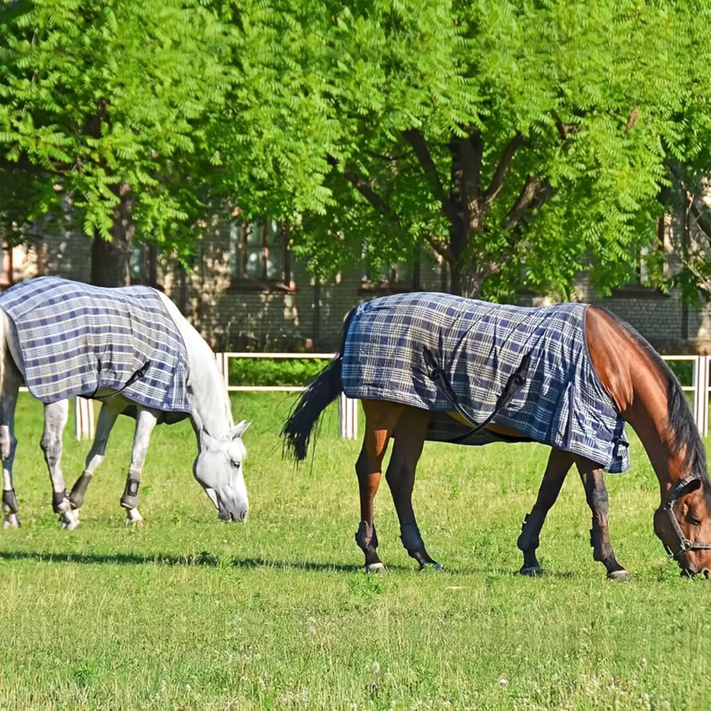 Horse Blanket Elastic Leg & Tail Strap - Adjustable with Double-Ended Clips, Replacement for Turnout and Stable Blankets