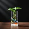 Borosilicate Glass Vase For Hydroponic Plants Straight Cylinder Design Indoor Desktop Decoration