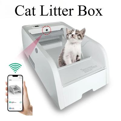 Katzen – Katzenpflege