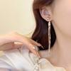 Trendy Style Tassel Pendant Earrings Light Luxury Drooping Earring  Ladies Accessories