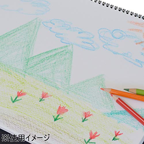 Maruman Sketchbook B3 Design Series Drawing Paper Narrow Opening 20 Sheets S110