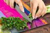 Glass Protective Plate for the Stove 50x52 Color