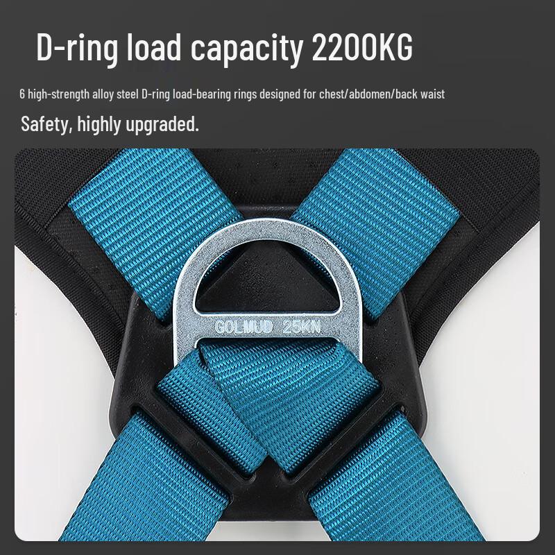 Goerm 5bodový bezpečnostní postroj