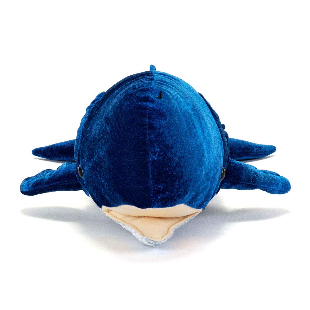 Carolata Sperm Whale Plush Toy (62 x 27 x 14cm  Soft to the Touch) Realistic Whale Animal Toy Doll Gift Present Birthday (Twice Tested)  Christmas