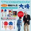 Taisei Kendama, Yamagata Workshop, Recommended by the Japan Kendama Association, Made In Japan, Includes Spare String, Welfare-Friendly (Light Blue)