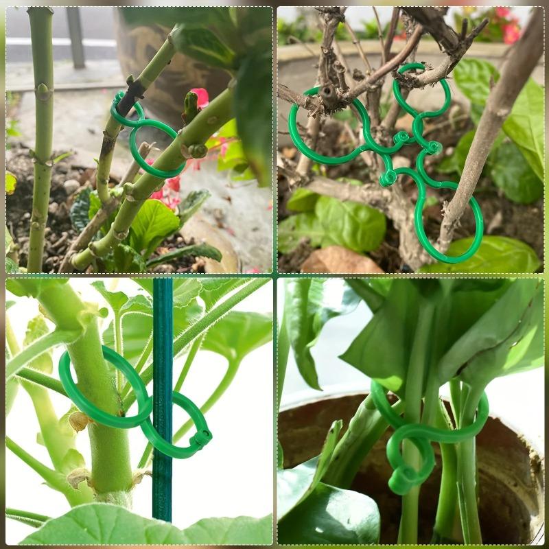 5-50PCS Plant Clips for Climbing Plants, Horticultural Clips for Tomato Plants, Vegetable Clips for Supporting and Fixing Plants