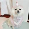 INS Pet Supplies Dog Birthday Saliva Towel Party Pet Triangle Scarf Cat Cat Dog Cute Lace Lace Lace Bib Pet Accessories