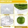 20 Pcs Melon Cradle Stackable Fruit Support Reusable Watermelon Stand Fruit Cradle Prevent Ground Rot for Cantaloupe Strawberry
