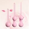 Set Safe Silicone Smart Ball Kegel Ball Ben Wa Ball Vagina Tighten Exercise Machine Vaginal Geisha Ball Sex Toys for Women