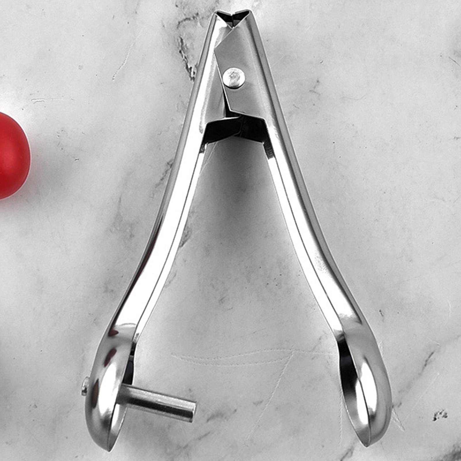 Professional Cherry Pitter Gadgets Stainless Steel Fruit Plum Stone Corer Pitter Kit Jujube Red Date Accessories China Mainland