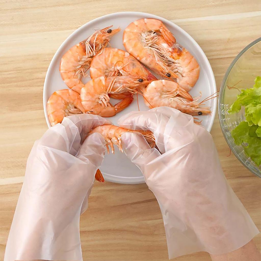 500 Disposable Food Grade Gloves