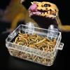 Reptil Transparent Mater Anti-escape Food Bowl Worm Live Container med sterke sugekopper Pet