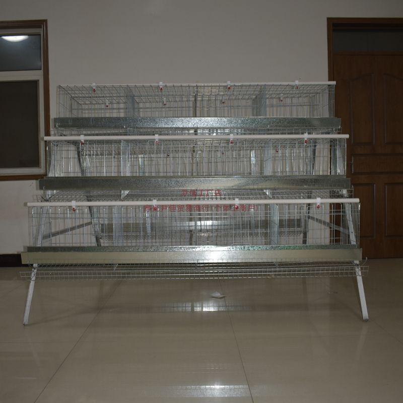 Yin Jia Automatic Roll-Out Egg Chicken Coop for Home Laying Hens