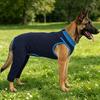 Dog Surgeries Recovery Suit Soft Breathable Post Operative Outfit For Neuter Wound Protections And Lick Prevention