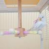 Solid Wood Wood Bird Training Stand Detachable Birds Grinding Perch Holder  Cockatoos
