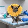 Adjustable Fit Et Recovery Collar Soft Foam Dog Cone Collar  Anti Scratch Protection