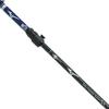 MIZUNO Nordic Walking Walking Poles Alkerne of Short C3JTPD20 4A-1 (Pair 2), Unisex, Violet, Type,