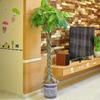 Artificial Money Tree Lucky Bonsai