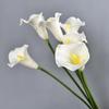 Artificial Common Calla Lily Realistic Fake Flower Stem Home Office Wedding Party Indoor Outdoor Faux Bloom Centerpiece Decoration