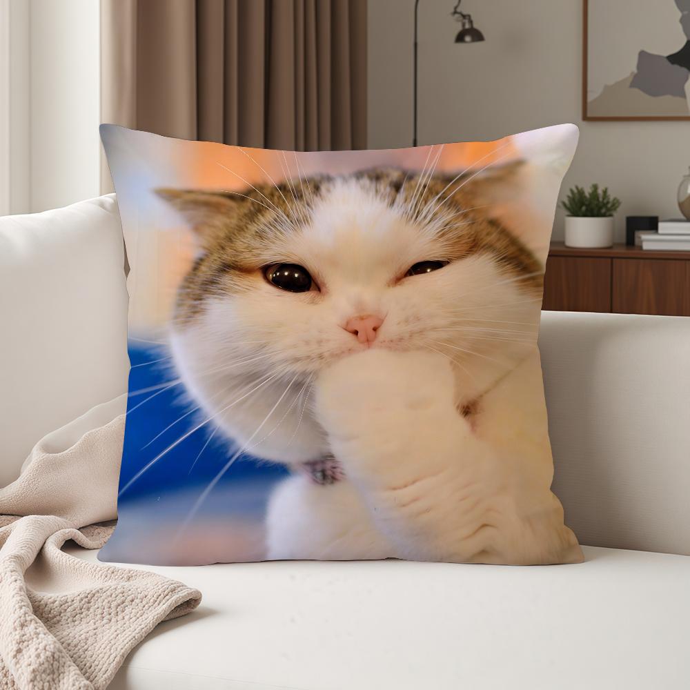 Funny Cat Cartoon Cute Pillow Case Suitable For Bedrooms Living Rooms Cars Home Decoration
