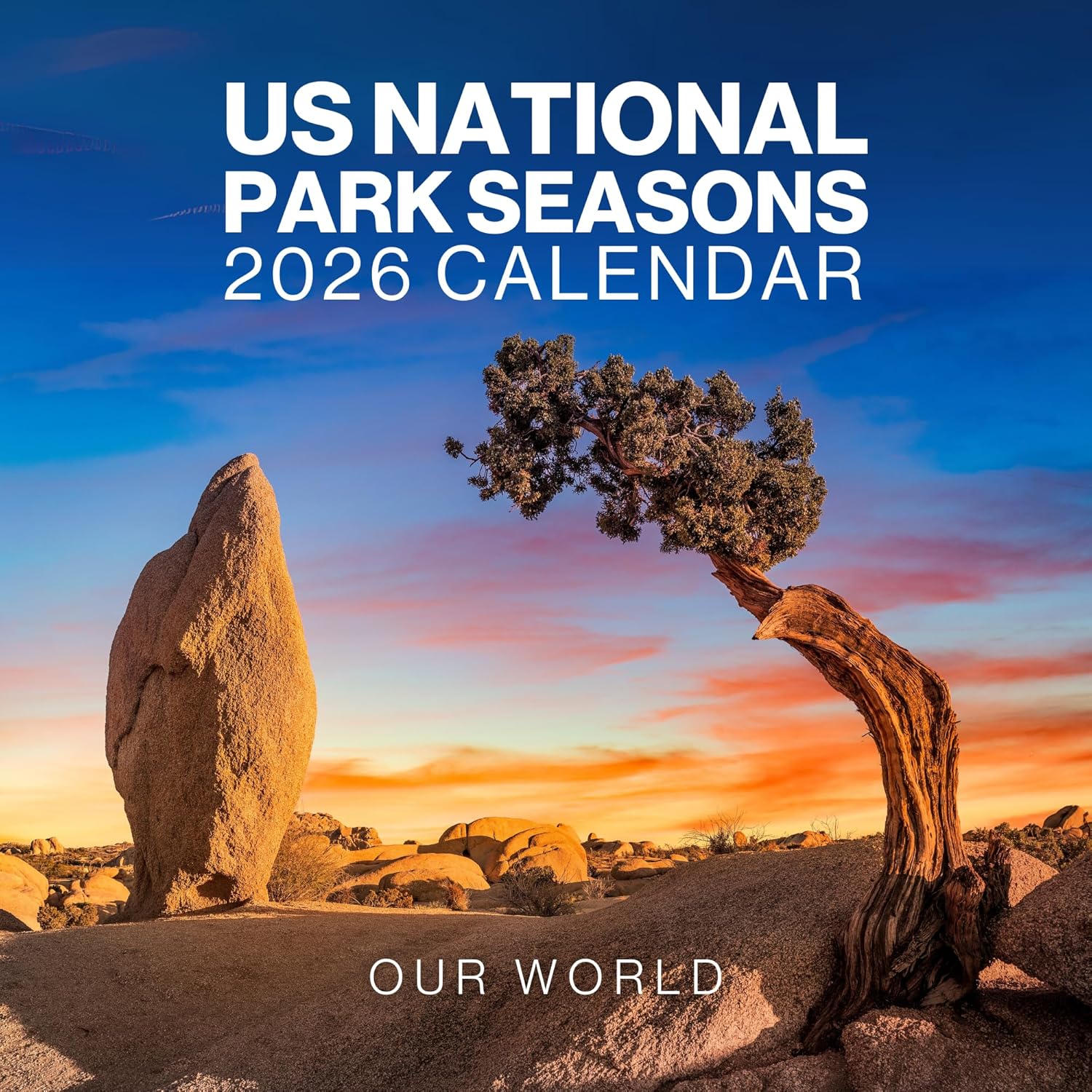 Natural Wonders Calendar 2026 - Large 12 Month Wonders of the World Calendar 2026 - Month to View Wall Planner Made by Our World US National Parks 2026 Ca