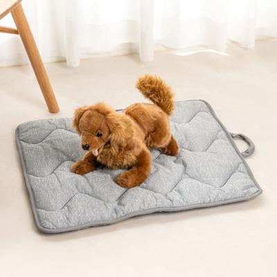 Pet_2Way Double-Sided Mat (50X60)