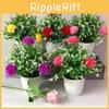 Flowers Simulated Hydrangeamacrophyllas Potted Plants Decor Desktop