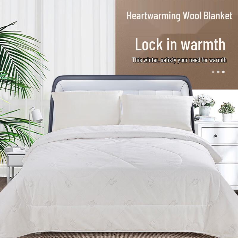 

ANCHOW Warm Core Wool Quilt