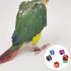 1Pack/40Pcs Digital Bird Foot Rings Inner Diameter 4mm/4.7mm Aluminum Pigeon Parrot Identification Rings Random Number Mix Color