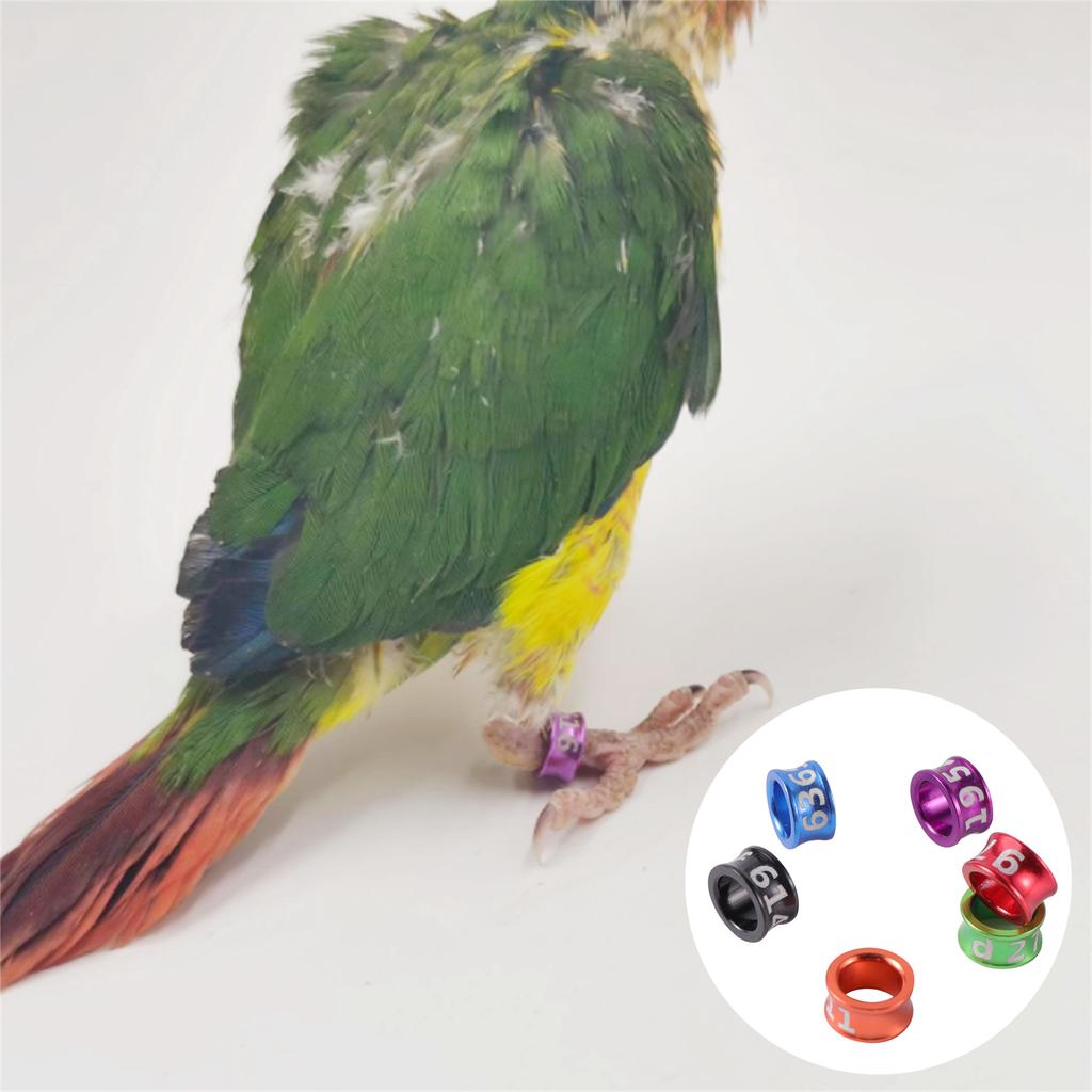 1Pack/40Pcs Digital Bird Foot Rings Inner Diameter 4mm/4.7mm Aluminum Pigeon Parrot Identification Rings Random Number Mix Color