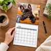 Wandkalender 2027, Hängekalender mit Hunderassen für die Heimdekoration