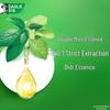 Darlie Double Mint Fresh Clean Toothpaste