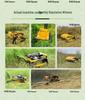 Remote-Controlled Four-Wheel Drive Tracked Gasoline Lawn Mower for Reclamation and Forest Clearing